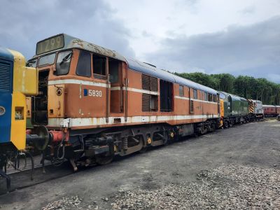 31463 brief trip outside during a shed shunt. Photo by James Whincup