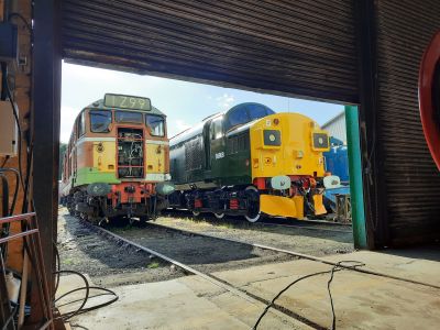 31463 enjoying the sun with 37108. Photo by James Whincup