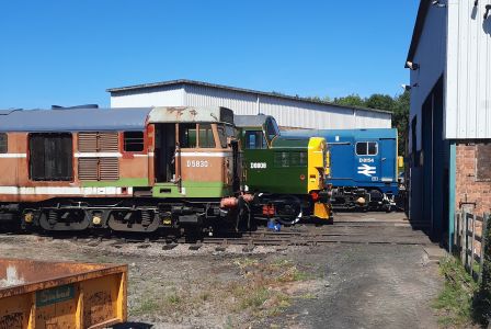 31463 basking in the sun with 37108 and D8154. Photo by James Whincup